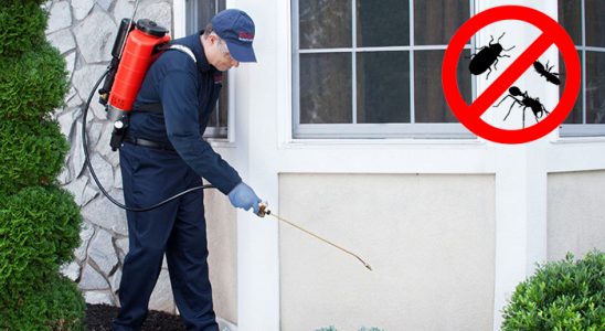 Halkapınar Böcek ve Haşere İlaçlama böcek ilaçlama ve haşere kontrolü — ilaclama-tr.com